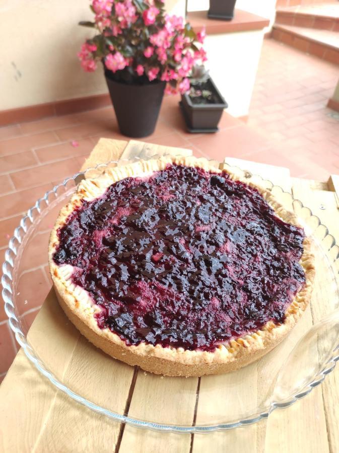 마사마리티마 Sonnellino In Maremma 빌라 외부 사진