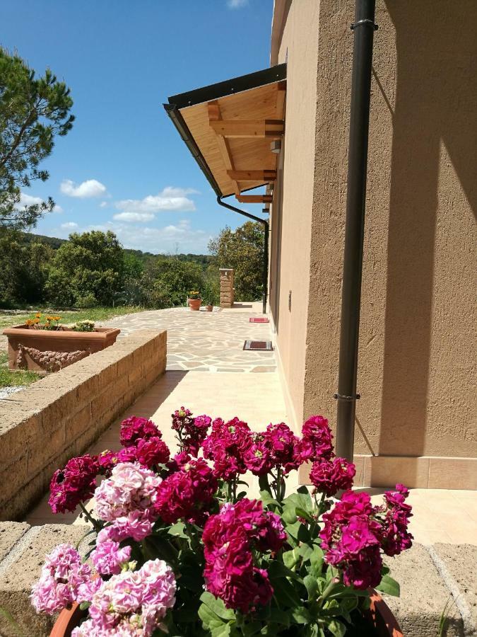 마사마리티마 Sonnellino In Maremma 빌라 외부 사진