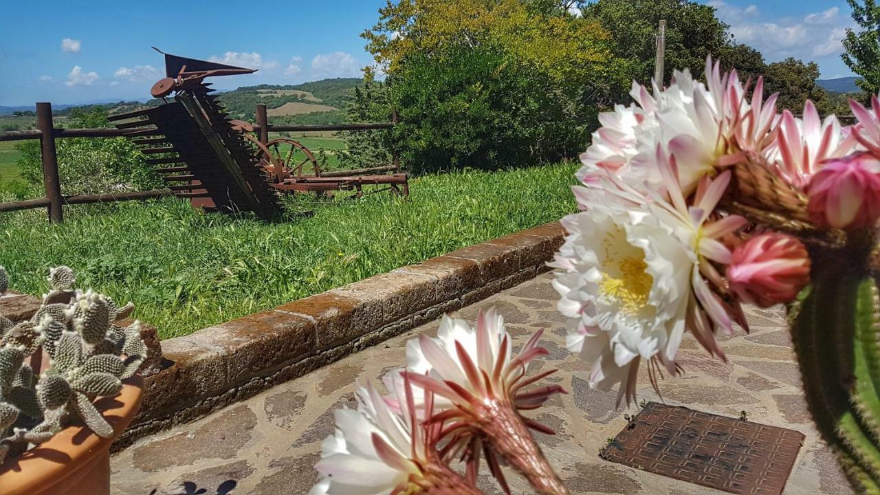 마사마리티마 Sonnellino In Maremma 빌라 외부 사진